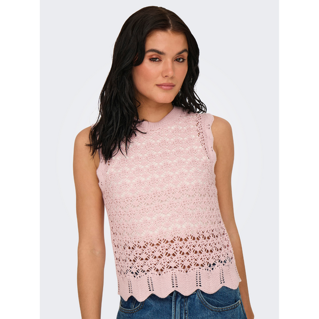 JDY Sun Evelyn S/L O-Neck Top Knitted