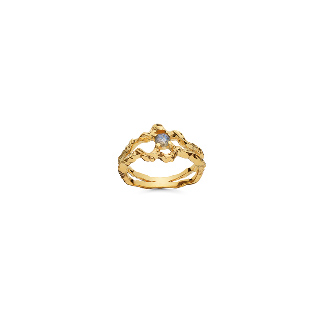 Smukke Shelly Ring fra Maanesten - front