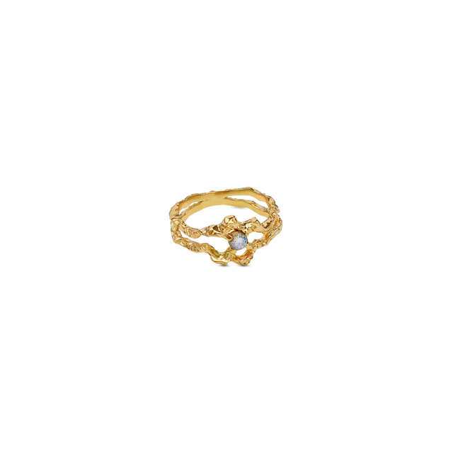 Smukke Shelly Ring fra Maanesten - top